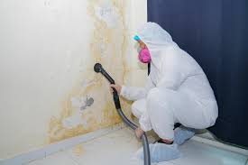 Trusted Southwest Greensburg, PA Mold Remediation Experts